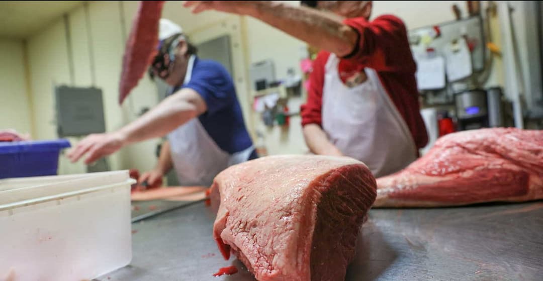 Brazilian Meat: Why is it Cheap & Imported by Many Countries